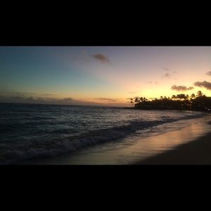 Meet your Posher, Kayden